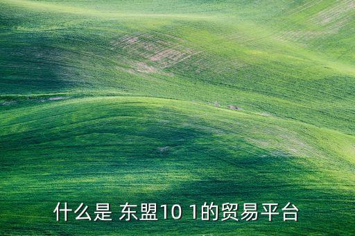 什么是 東盟10 1的貿(mào)易平臺