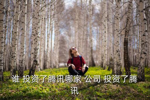 互聯(lián)網(wǎng)投資公司,中國(guó)互聯(lián)網(wǎng)投資公司