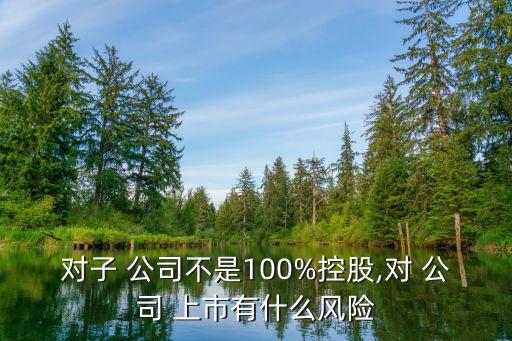 對子 公司不是100%控股,對 公司 上市有什么風(fēng)險(xiǎn)