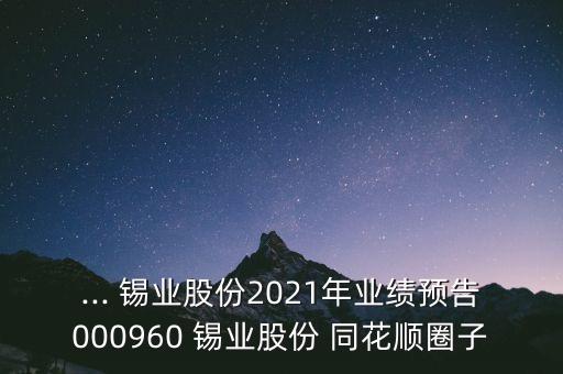 錫業(yè)股票同花順,同花順漂亮100股票名單