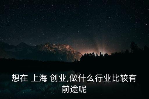 想在 上海 創(chuàng)業(yè),做什么行業(yè)比較有前途呢