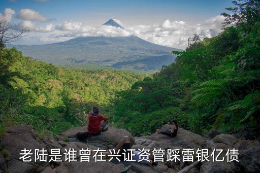 老陸是誰曾在興證資管踩雷銀億債