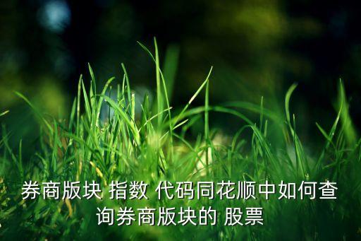 券商版塊 指數(shù) 代碼同花順中如何查詢?nèi)贪鎵K的 股票