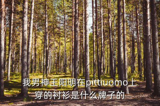 我男神王陽(yáng)明在pittiuomo上穿的襯衫是什么牌子的