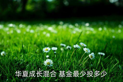 華夏成長(zhǎng)混合 基金最少投多少