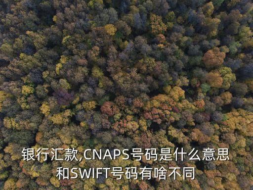 銀行匯款,CNAPS號碼是什么意思和SWIFT號碼有啥不同