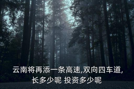  云南將再添一條高速,雙向四車道,長(zhǎng)多少呢 投資多少呢