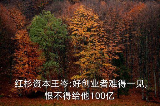  紅杉資本王岑:好創(chuàng)業(yè)者難得一見(jiàn),恨不得給他100億