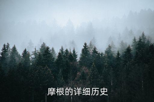  摩根的詳細(xì)歷史