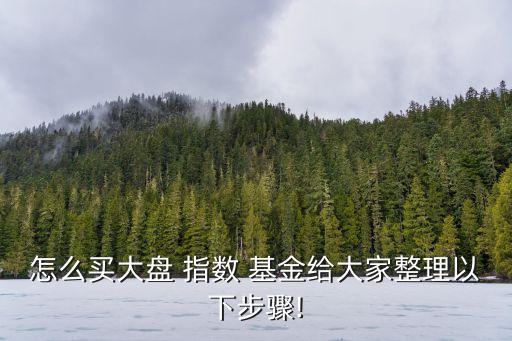 上證指數(shù)基金怎么買,有沒有買上證指數(shù)的基金