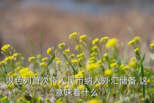 以色列首次將人民幣納入外匯儲(chǔ)備,這意味著什么