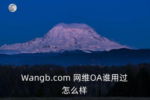 杭州網(wǎng)維有限公司,青島網(wǎng)維互動(dòng)軟件有限公司