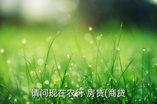 請(qǐng)問(wèn)現(xiàn)在農(nóng)行 房貸(商貸