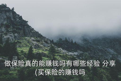 做保險(xiǎn)真的能賺錢(qián)嗎有哪些經(jīng)驗(yàn) 分享(買(mǎi)保險(xiǎn)的賺錢(qián)嗎