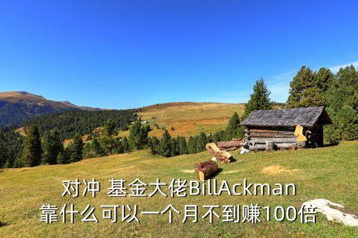 對(duì)沖 基金大佬BillAckman靠什么可以一個(gè)月不到賺100倍