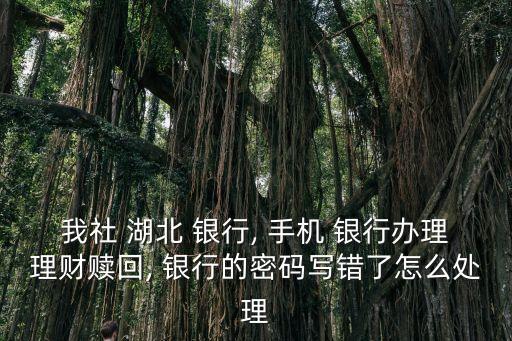 我社 湖北 銀行, 手機 銀行辦理理財贖回, 銀行的密碼寫錯了怎么處理