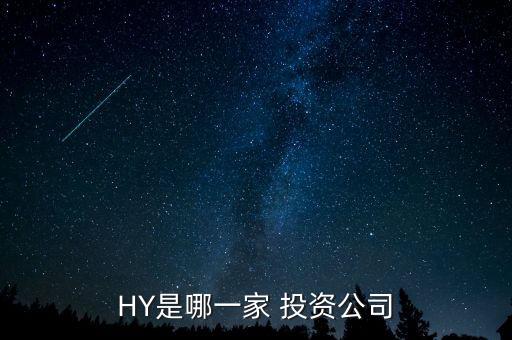 HY是哪一家 投資公司