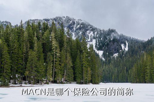 MACN是哪個保險公司的簡稱