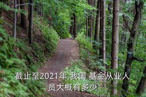 截止至2021年,我國(guó) 基金從業(yè)人員大概有多少