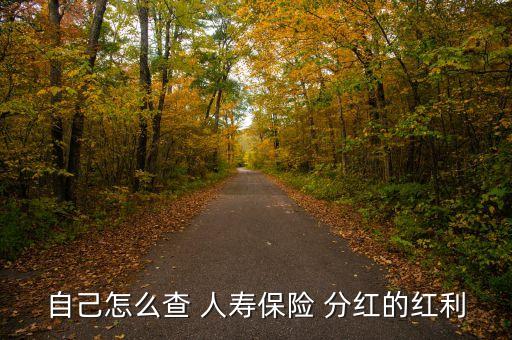 自己怎么查 人壽保險(xiǎn) 分紅的紅利