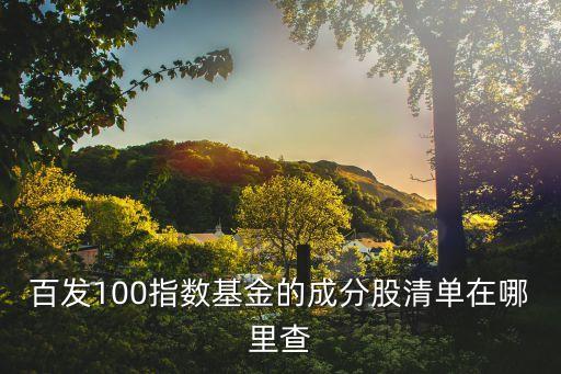 百發(fā)100指數(shù)基金的成分股清單在哪里查