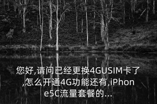 您好,請(qǐng)問(wèn)已經(jīng)更換4GUSIM卡了,怎么開(kāi)通4G功能還有,iPhone5C流量套餐的...