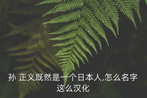 孫 正義既然是一個(gè)日本人,怎么名字這么漢化