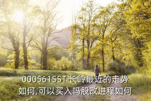 000561SST 長嶺最近的走勢(shì)如何,可以買入嗎股改進(jìn)程如何