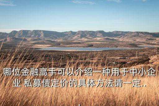 哪位金融高手可以介紹一種用于中小企業(yè) 私募債定價的具體方法請一定...