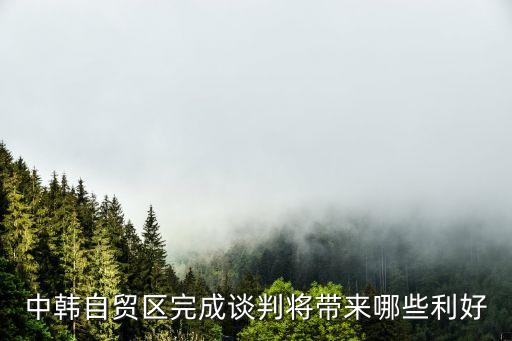 中韓自貿(mào)區(qū)完成談判將帶來(lái)哪些利好