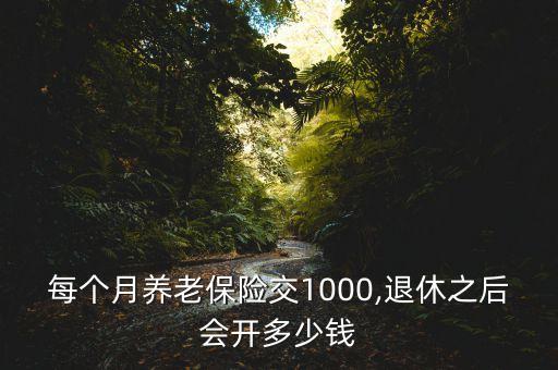 每個(gè)月養(yǎng)老保險(xiǎn)交1000,退休之后會(huì)開多少錢