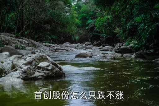 首創(chuàng)股份怎么只跌不漲