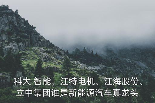  科大 智能、江特電機(jī)、江海股份、立中集團(tuán)誰是新能源汽車真龍頭