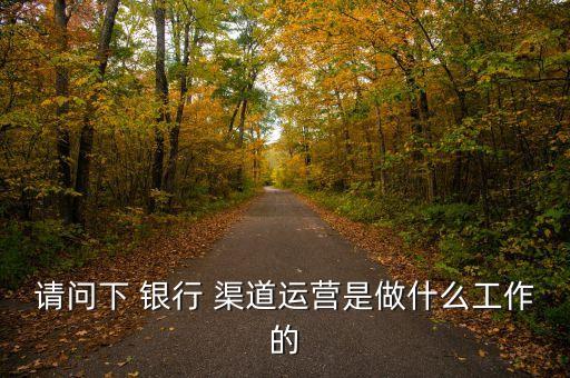 請(qǐng)問下 銀行 渠道運(yùn)營(yíng)是做什么工作的