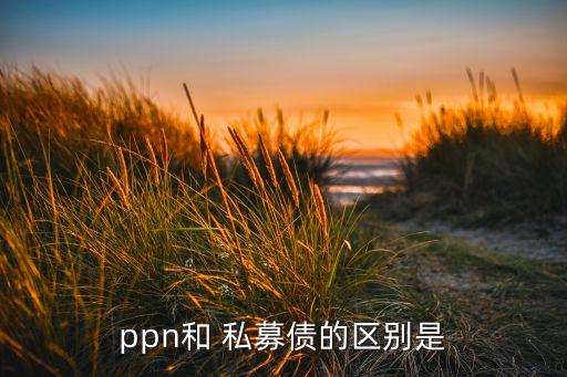 ppn和 私募債的區(qū)別是