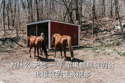 為什么 天地 一號(hào) 蘋果醋瓶裝的會(huì)比罐裝的要貴很多