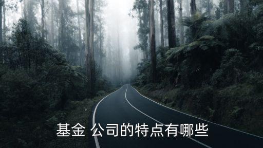  基金 公司的特點(diǎn)有哪些