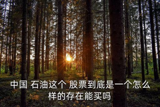 中國石油股票公司介紹