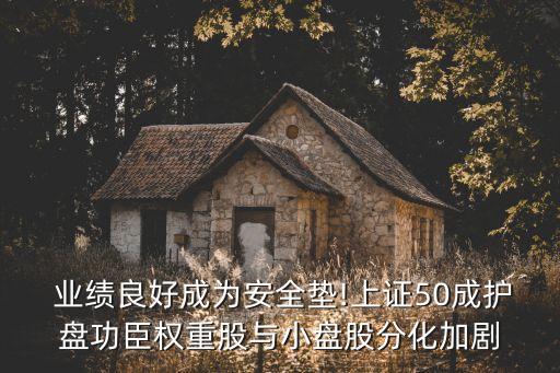  業(yè)績良好成為安全墊!上證50成護盤功臣權(quán)重股與小盤股分化加劇