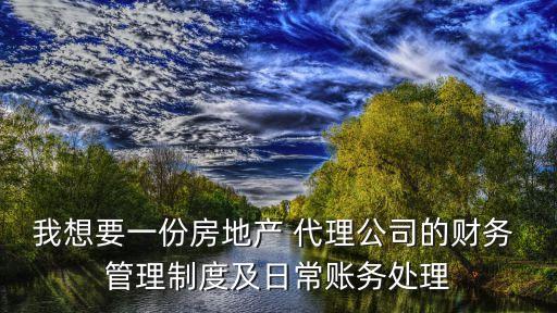 我想要一份房地產 代理公司的財務 管理制度及日常賬務處理