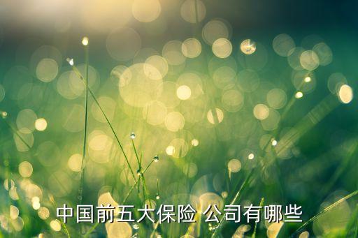 中國前五大保險(xiǎn) 公司有哪些