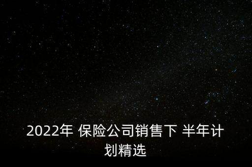 2022年 保險(xiǎn)公司銷售下 半年計(jì)劃精選