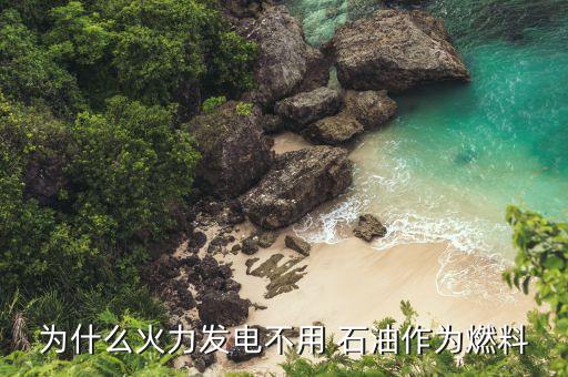 印度石油公司在中國(guó),中國(guó)石油公司有幾個(gè)