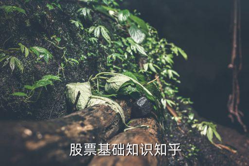  股票基礎(chǔ)知識(shí)知乎