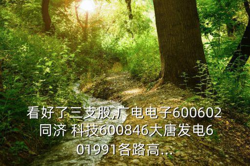 看好了三支股,廣電電子600602 同濟 科技600846大唐發(fā)電601991各路高...