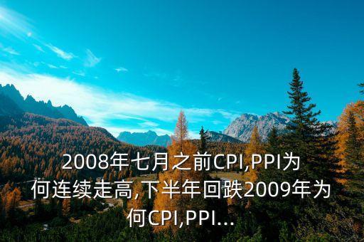 2008年七月之前CPI,PPI為何連續(xù)走高,下半年回跌2009年為何CPI,PPI...