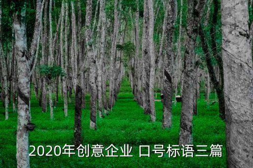 2020年創(chuàng)意企業(yè) 口號(hào)標(biāo)語三篇