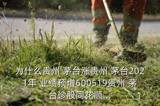 為什么貴州 茅臺漲貴州 茅臺2021年 業(yè)績預增600519貴州 茅臺診股同花順...