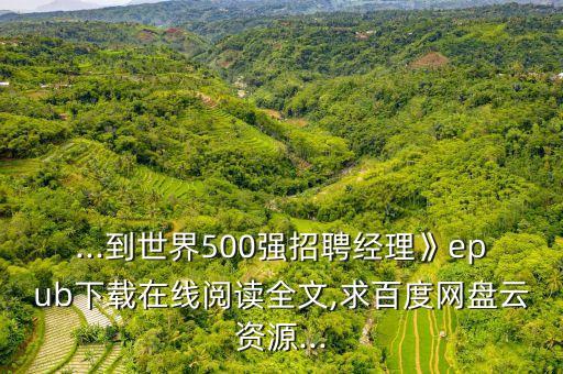 ...到世界500強(qiáng)招聘經(jīng)理》epub下載在線閱讀全文,求百度網(wǎng)盤(pán)云資源...