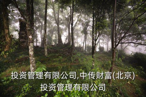 艾華投資管理有限公司,中傳財(cái)富(北京)投資管理有限公司